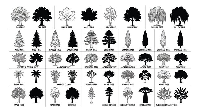 Minimalist tree icon set with 40 vector elements, black and white botanical silhouettes and line art, professional landscape architecture symbols