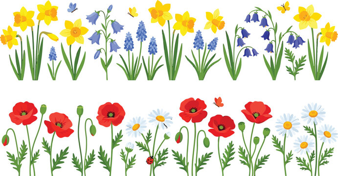 Spring and summer wildflower borders with daffodils poppies daisies and bluebells in a flat vector illustration style