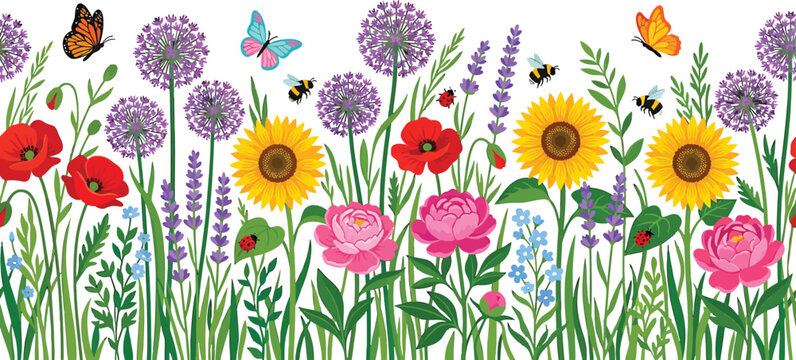 Wildflower meadow border with sunflowers poppies and butterflies isolated on white background vector illustration
