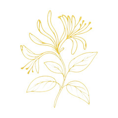 Obraz premium PNG Elegant golden floral illustration.