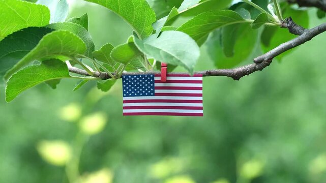A small paper flag of the United States attached with a red clothespin to a tree branch outdoors. Close up.