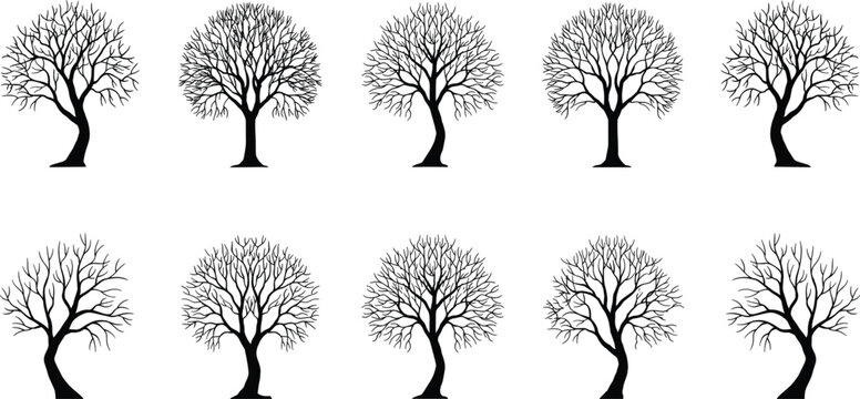 Collection of bare tree silhouettes with intricate branches on transparent background silhouette deciduous woodland forest winter branching leafless shapes forms graphics vector