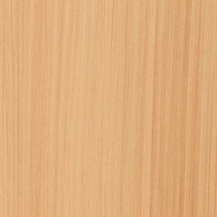 Fototapeta premium Natural oak wood texture background