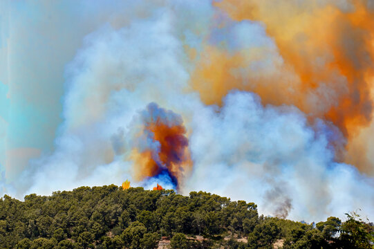 Wild fire, flames and environment, burning and nature with smoke, forest and emergency. Outdoor, empty and woods with trees, landscape and risk with natural disaster, hazard and damage