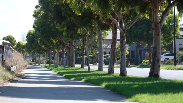 A pedestrian pathway on a suburban residential street with suburban houses in Williams Landing Melbourne Australia. Tall, mature eucalypt trees line the green nature strip offers shade on a hot day