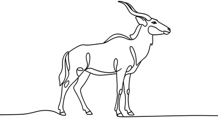 Fototapeta premium Eland antelope line drawing white background.