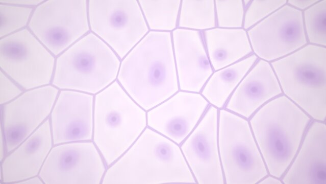 Abstract cellular structure with purple nuclei