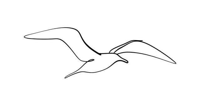 Minimalist seagull line art illustration white background.
