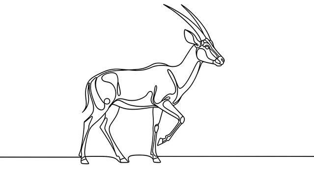 Line art oryx antelope illustration white background.