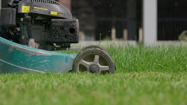 Lawn mower cutting green grass in residential courtyard
