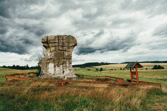 Devil's Club rock formation (Diabelska Maczuga), sandstone pillar from Cretaceous period, Gorzesz&oacute;w, Poland, unique natural rock sculpture