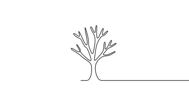 Tree continuous line drawing animation for nature and ecology branding design. Minimalist tree continuous line drawing animation, perfect for eco-friendly branding and nature icons.