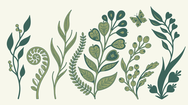 Conjunto de elementos bot&acirc;nicos ilustrados com folhas, ramos, bagas e uma pequena borboleta em tons de verde sobre um fundo claro, ideal para design gr&aacute;fico e projetos decorativos.
