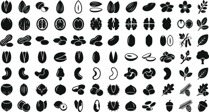 Nuts, seeds, and leaves silhouette vector icon set. Minimalist organic walnut, almond, peanut, pistachio, cashew, hazelnut, acorn, and forest foliage clipart collection