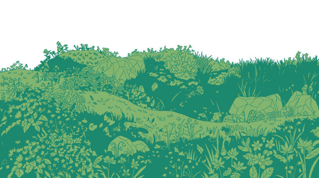 Ilustra&ccedil;&atilde;o vetorial estilizada de uma paisagem natural exuberante com colinas cobertas de vegeta&ccedil;&atilde;o, flores silvestres e arbustos em tons de verde sobre um fundo branco isolado.