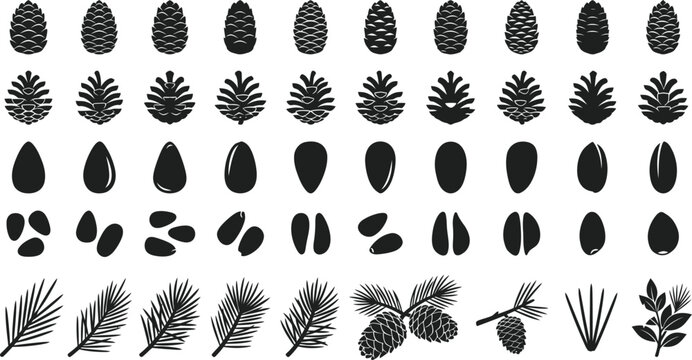 Pine cones and pine nuts silhouette vector icon set. Minimalist cedar cone, raw pine nut seeds, and conifer tree evergreen branches clipart collection isolated on transparent background.