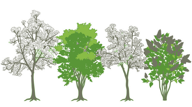 Conjunto de ilustraciones vectoriales de &aacute;rboles y arbustos con estilos variados, incluyendo dise&ntilde;os lineales detallados y siluetas con follaje verde sobre un fondo blanco aislado.