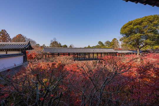 紅葉に包まれた秋の京都東福寺通天橋