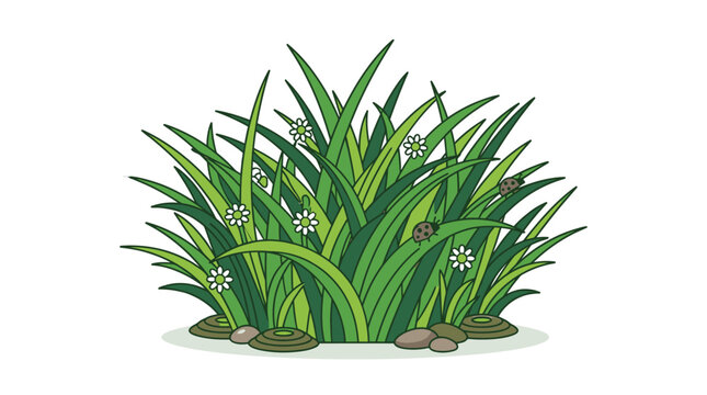 Eine charmante Vektor-Illustration eines dichten Grasb&uuml;schels mit zarten wei&szlig;en Bl&uuml;ten und kleinen Steinen am Boden, isoliert auf wei&szlig;em Hintergrund.