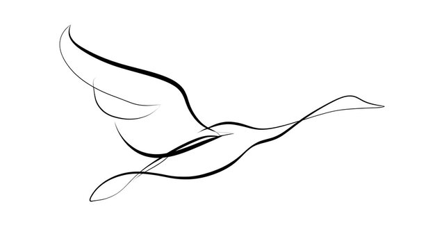 Elegant bird silhouette drawing white background.