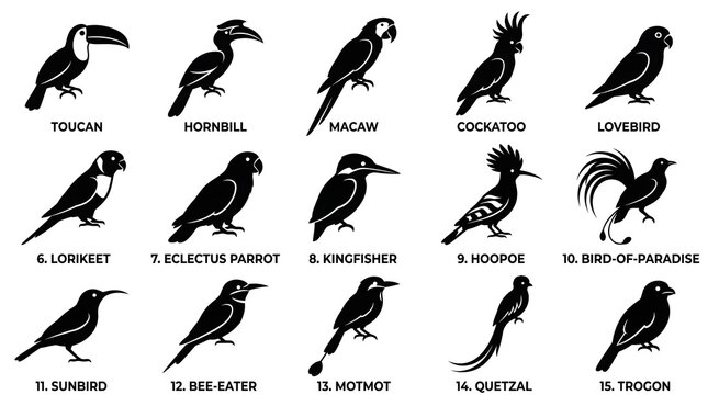 Bird silhouettes, exotic birds, tropical birds, 15 icons