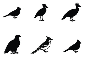 Fototapeta premium Bird Silhouette Vector Collection