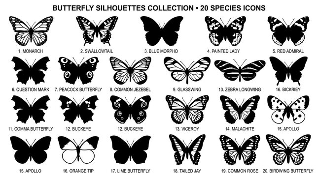 Butterfly silhouettes collection of 20 species icons, black insect wing shapes on white background, decorative butterfly nature graphic set