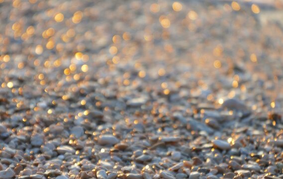 Sparkling golden beach with tiny pebbles in the sunset , beach summertime background