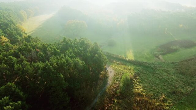 Morning Fog Over Amazing Meadow And Treetops, Drone View Of Summer Sunrise