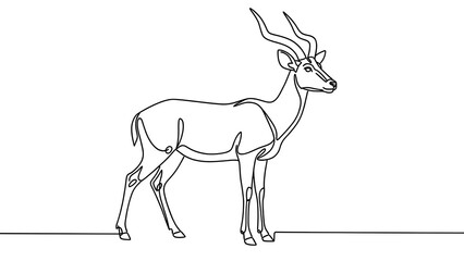 Fototapeta premium Line drawing of antelope on white background.