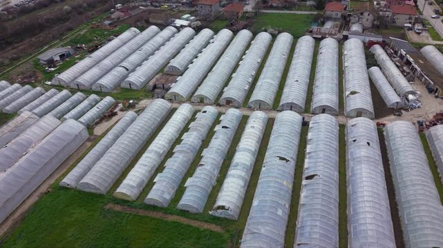 Aerial drone view of a large greenhouse complex with rows of plastic polytunnels used for vegetable cultivation. Intensive farming, horticulture production and modern agricultural infrastructure.