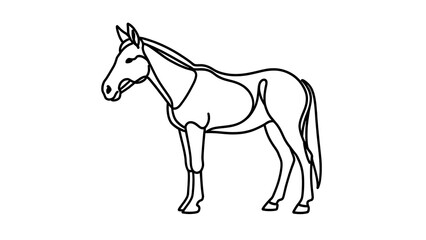 Obraz premium Simple line drawing of a horse white background.