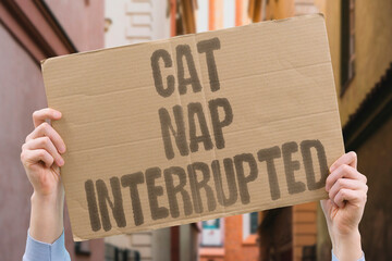 "Cat Nap Interrupted" Doorbell rang during deep rest. CAT. NAP. INTERRUPTED. DOORBELL. RING. © AndriiKoval