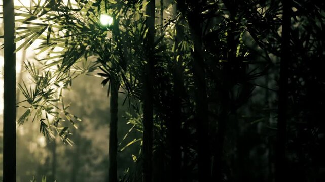 Dense bamboo grove with diffuse sunlight, shadowed path suggestion, meditative retreat vibe, cool green palette, soft humidity, tranquil escape