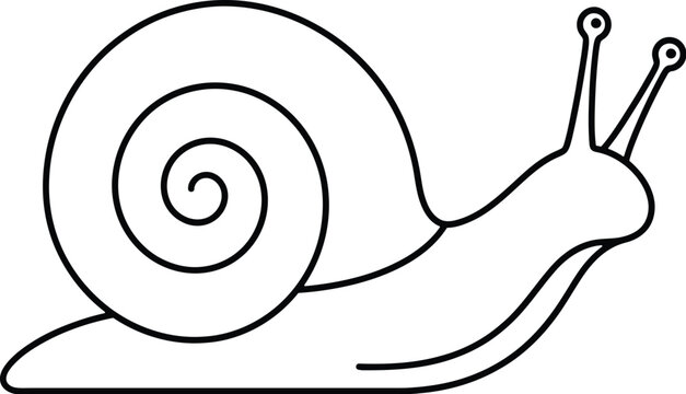 Simple black and white vector illustration of a cute snail with a large spiral shell