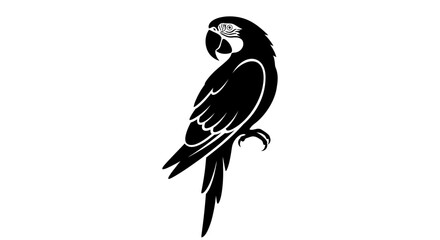 Fototapeta premium Black silhouette of a parrot with detailed features, standing on a perch, isolated on a white background.