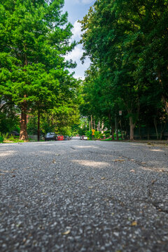 Quiet streets, familiar places, endless stories, Atlanta, Georgia, United States of America