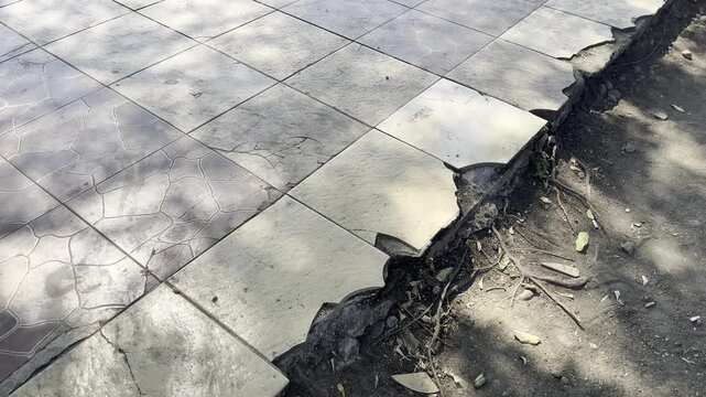 Damaged public sidewalk with cracked ceramic tiles and exposed soil