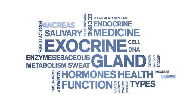 Exocrine Gland animated word cloud-animation tag kinetic typography seamless loop.