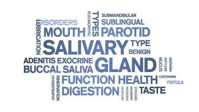 Salivary Gland animated word cloud-animation tag kinetic typography seamless loop.
