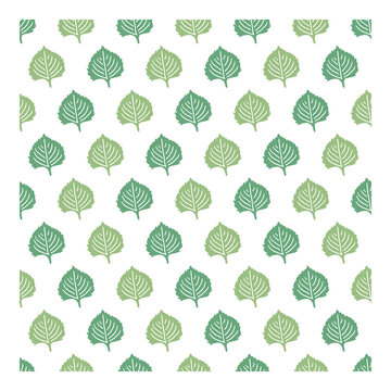 Botanical Green Culinary Herb Perilla Leaf Pattern. Fresh repeating perilla leaf pattern. Ideal for organic food packaging, fabric printing, wrapping paper, and natural branding projects.
