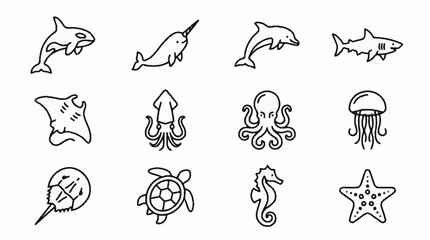 Black and white line art of various sea creatures. © brian