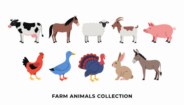 Very beautiful realistic vector illustration of a Farm Animals Collection featuring cow, horse, sheep, goat, pig, chicken, duck, turkey, rabbit, and donkey with a bold label reading "FARM ANIMALS COLL