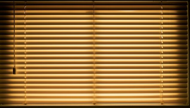 Warm, golden light streams through venetian window blinds, casting horizontal shadows