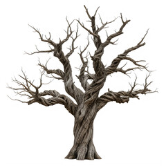 Fototapeta premium A single old twisted tree with bare brown branches in winter isolated on transparent background
