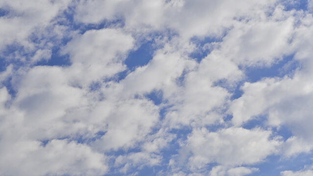 The atmospheric process by which cumulus clouds transition into stratocumulus clouds, thus covering the blue sky in late spring.