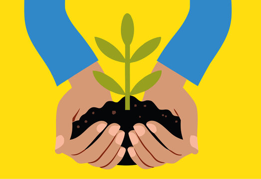 Hands Holding a Small Sprout in Soil. Growth and Ecology Concept. 