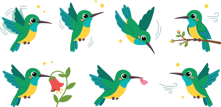 Cute Cartoon Hummingbird Vector Set Featuring Small Green Colibri Bird in Flying Hovering Perching and Nectar Feeding Poses for Kids Design Media