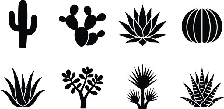 Collection of desert plants and cactus silhouettes featuring prickly pear agave aloe vera and saguaro isolated on white background
