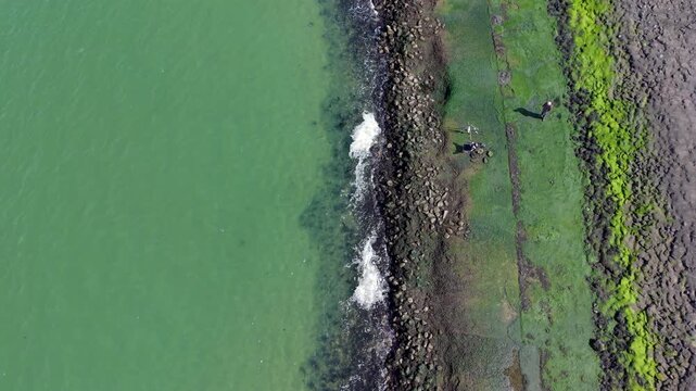 Aerial top down straight down view of a lone fisherman standing on a mossy rocky sea dike coastline next to vibrant green shallow ocean water waves under a bright daylight sun
